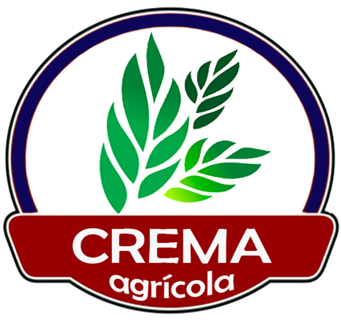 CREMA AGRÍCOLA - RENAN CREMA